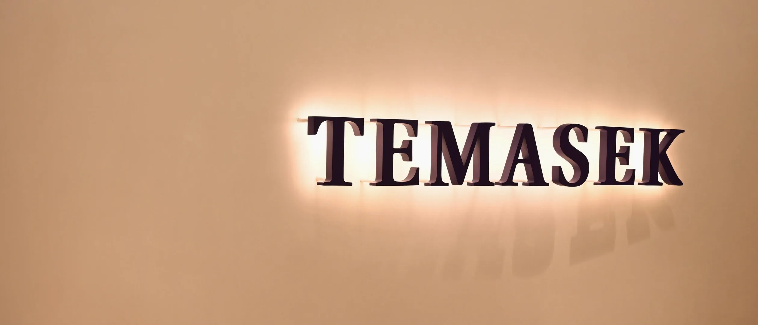 Temasak Holdings Logo